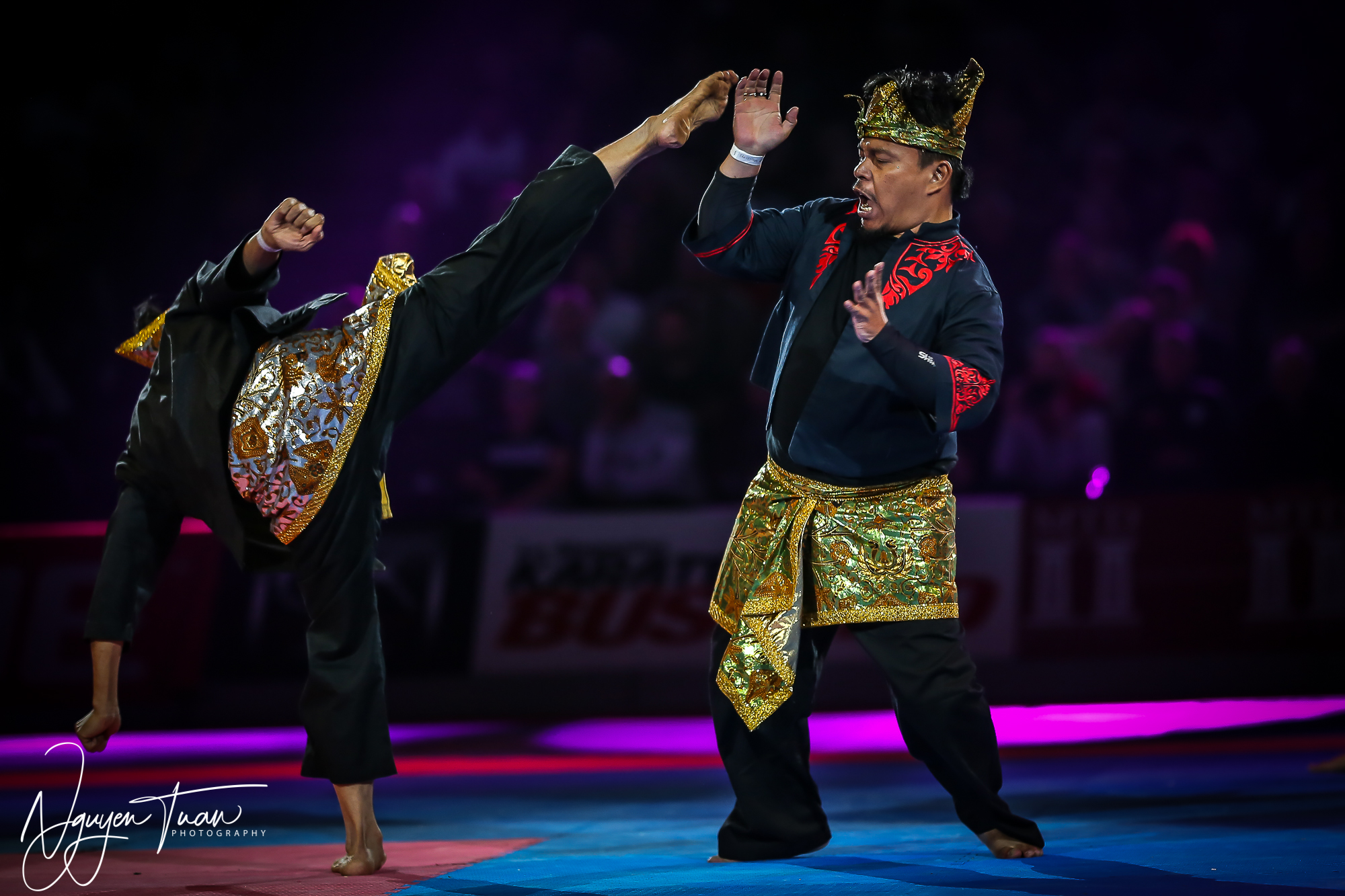 20190324 Festival des Arts Martiaux 4210